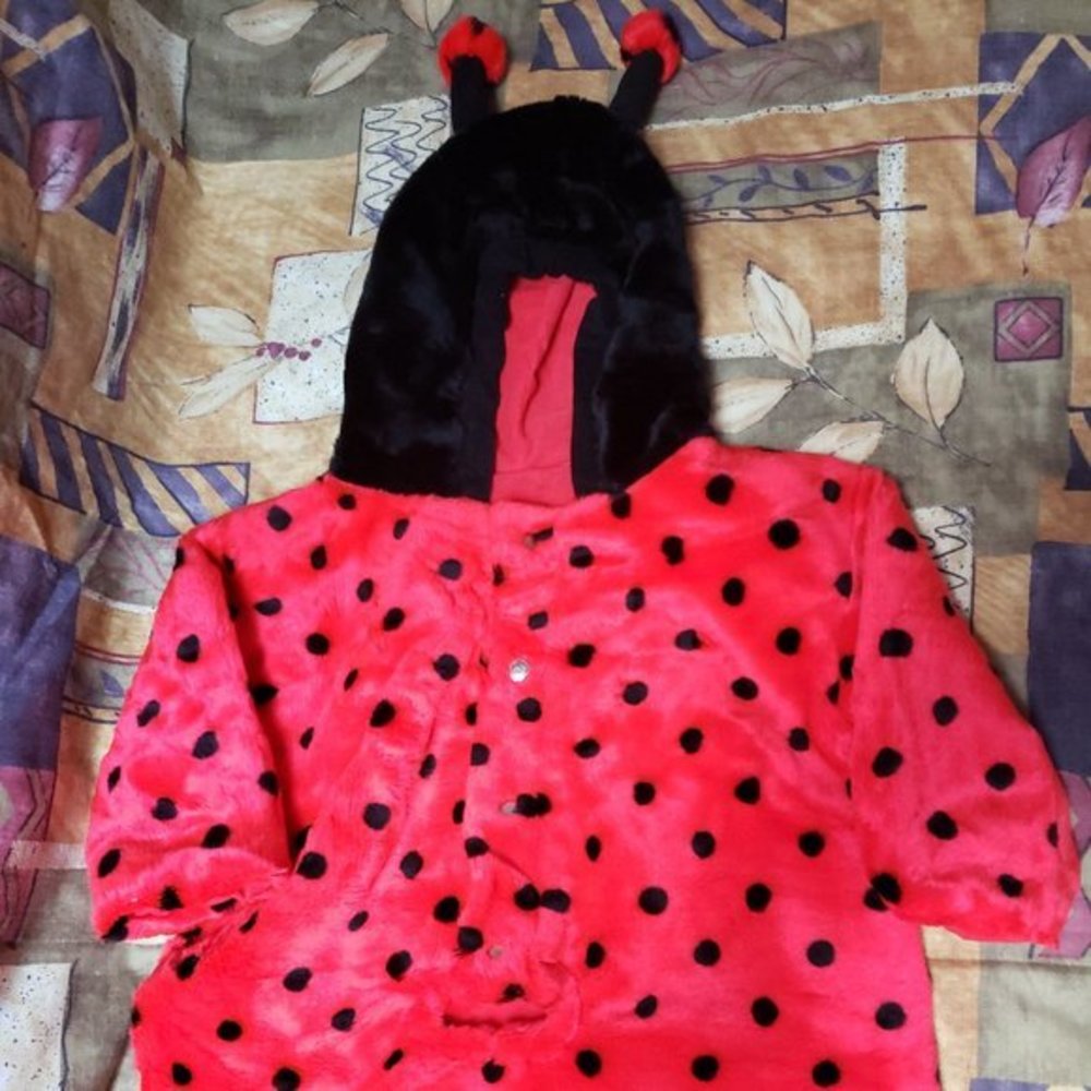 Infant Lady Bug Costume - Used